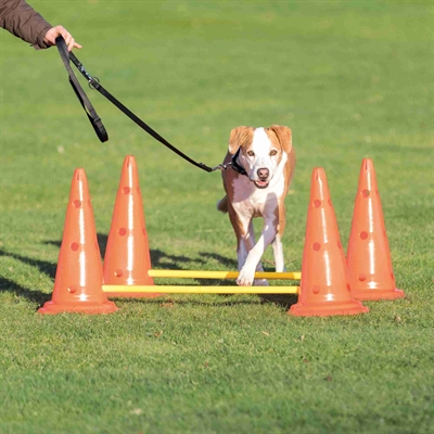 Trixie Dog Activity Hordenset - 3 stuks