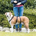 Trixie Hondentuig Stay Zwart - L-Xl 70-100 cm