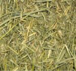 Beaphar Care+ Timothy Hooi - 1 kg