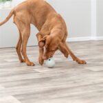 Trixie Snackbal Rubber Grijs - 9 cm