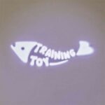 Trixie Led Pointer Laserspeelgoed Catch The Light - 8 cm