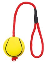 Trixie Sportbal Aan Touw Schuimrubber Drijvend Assorti - 6 x 6 x 30 cm