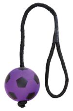 Trixie Sportbal Aan Touw Schuimrubber Drijvend Assorti - 6 x 6 x 30 cm
