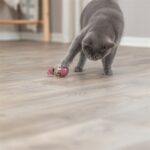 Trixie Cat Activity Snack Muis Assorti - 9 cm