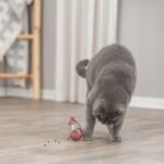Trixie Cat Activity Snack Muis Assorti - 9 cm