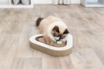 Trixie Krabplank Karton Met 2 Ballen - 36 x 36 x 5 cm