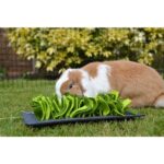 Rosewood Snuffelmat Knaagdier Zwart / Groen - 29,5 x 20 cm