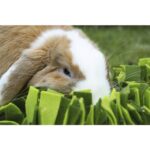 Rosewood Snuffelmat Knaagdier Zwart / Groen - 29,5 x 20 cm