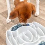 Trixie Dog Activity Slide & Feed - 30 x 27 cm