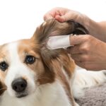 Trixie Ear Care Vingerpads - 50 stuks