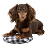 Trixie Warmtekussen Voor Magnetron - 26 cm