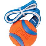 Chuckit Ultra Tug - 26 x 6 x 6 cm