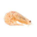 Trixie Premio Freeze Dried Shrimps - 25 g