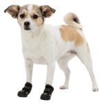 Trixie Pootbescherming Walker Active Zwart - Xs-S 2 stuks