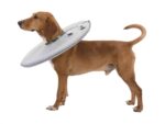 Trixie Beschermkraag Schuimrubber Grijs - S 30-34 x 19,5 cm