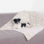 Trixie Hondendeken Kenny Fleece Bot / Pootjes Beige - 75 x 50 cm