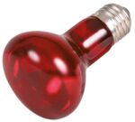 Trixie Reptiland Warmtelamp Infrarood - 75 Watt 6,3 x 6,3 x 10 cm