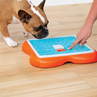 Nina Ottosson Challenge Slider Oranje / Blauw - 38 x 38 x 5 cm