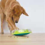 Nina Ottosson Wobble Bowl Groen - 30 x 30 x 9 cm