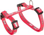 Trixie Konijnentuig Met Riem Baby Bunny Assorti - 20-33 x 0,8+125 cm