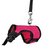 Trixie Softtuig Met Riem Voor Ratten Assorti - 12-18 x 120 cm