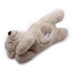 Afp Little Buddy Warm Bear - 36 x 18 cm