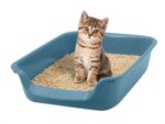 Savic Junior Kattenbak Blauw - 56 x 39 x 13 cm