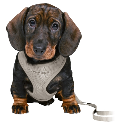 Trixie Junior Puppytuig Soft Met Riem Lichtgrijs - 26-34 x 1 cm / 2 Mtr