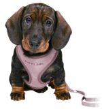 Trixie Junior Puppytuig Soft Met Riem Lila - 26-34 x 1 cm / 2 Mtr