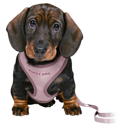 Trixie Junior Puppytuig Soft Met Riem Lila - 26-34 x 1 cm / 2 Mtr