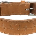 Trixie Halsband Hond Rustic Vetleer Heartbeat Bruin - 47-55 x 4 cm