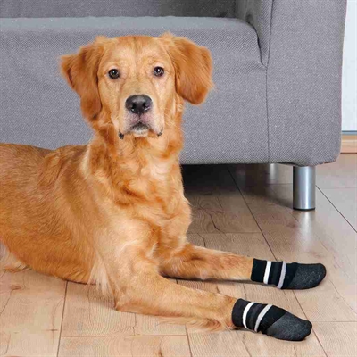 Trixie Hondensokken Anti-Slip Met Rubberlaag Rondom Zwart - Xs-S 2 stuks