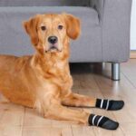Trixie Hondensokken Anti-Slip Met Rubberlaag Rondom Zwart - L-Xl 2 stuks