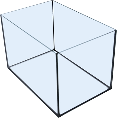 Aquarium Met Zwarte Kit – 30 x 20 x 20 cm