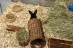 Happy Pet Wilgen Tunnel – LARGE 32 x 15 x 15 cm