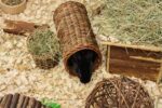 Happy Pet Wilgen Tunnel – LARGE 32 x 15 x 15 cm