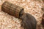 Happy Pet Wilgen Tunnel – SMALL 27 x 13 x 13 cm