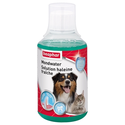 Beaphar Mondwater – 250 ml