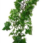 Komodo Philodendron Plant – 60 cm
