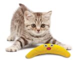 Petstages Green Magic Boomerang Buddy – 23,5 x 10 x 4 cm