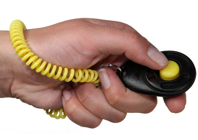 Starmark Clicker De Luxe Voor Training – 6 x 4 cm