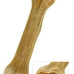 Petsnack Geperst Bot Gevuld Met Zalm – 20 cm 5 st