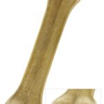 Petsnack Geperst Bot Gevuld Met Rund – 20 cm 5 st