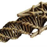 Happy Pet Knaagspeeltje Mais Wilg – 16 x 5 x 5 cm