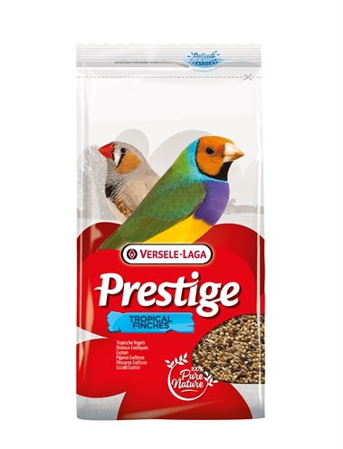 Prestige Tropische Vogel – 1 kg