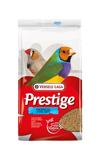Prestige Tropische Vogel – 4 kg