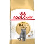 Royal Canin British Shorthair – 2 kg