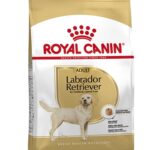 Royal Canin Labrador Retriever Adult – 12 kg