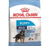 Royal Canin Maxi Puppy – 4 kg