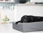 Bia Bed Hondenmand Original Grijs - Bia-3 70 x 60 x 15 cm